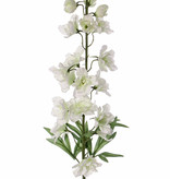 Delphinium  'GardenArt', 18 flores, 7 capullos,  3 hojas, 91cm