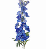 Delphinium  'GardenArt', 18 flowers, 7 buds,  3 lvs., 91cm