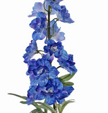 Delphinium  'GardenArt', 18 flowers, 7 buds,  3 lvs., 91cm