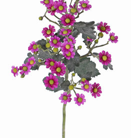 Tanacetum (Wormkuid) 'AutumnBreeze', x9, 34 bloem (Ø 1,5 - 2cm) & 20 knop,16 blad, 60cm