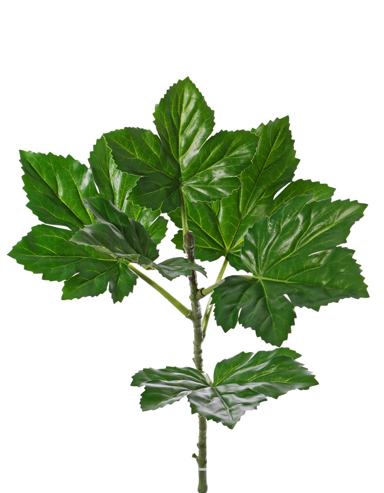 Ocra hoja (Abelmoschus esculentus) 6 hojas (Ø 18 - 21cm) y un capullo, tratado, UV resistente, 73cm