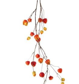 Physalisgarland, 'AutumnBreeze', 28 calyces (10Lg/9Md/9Sm), 120cm