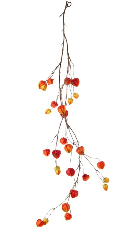 Physalis-Girlande mit 2 Verzweigungen, 'AutumnBreeze', 28 Kelche (10Lg/9Md/9Sm), 120cm