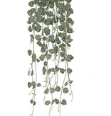 Ceropegia,  258 hojas, resistente de rayos UV, 70 cm