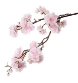 Prunus serrulata (cerezo de flor japonés) "Full blossom", 51 flores (16 gr., 11 med, 24 small), 19 capullos, 91cm