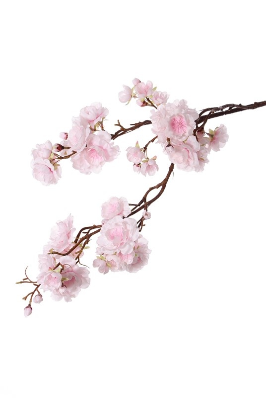 Prunus serrulata (Japanische Zierkirsche) "Full blossom", 51 Blüten, (16 gr., 11 mittel, 24 klein) 19 Knospen, 91cm