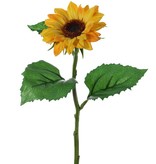 Girasol  - Helianthus - pequeño, Ø 8cm & 3 hojas, 35cm