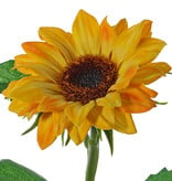 Girasol  - Helianthus - pequeño, Ø 8cm & 3 hojas, 35cm