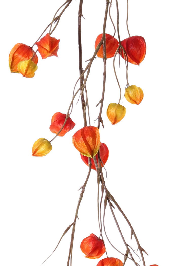 Physalisgarland, 'AutumnBreeze', 28 calyces (10Lg/9Md/9Sm), 120cm