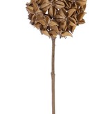 Star anise spray (Illicium verum) 'Dried Nature', deco ball, Ø 10cm, on stem, 70cm