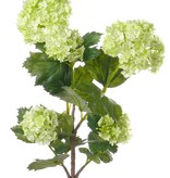 Viburnum (snowball) 53cm