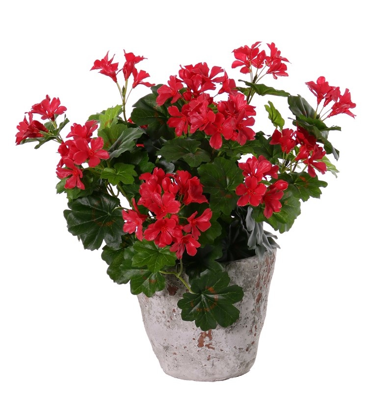 Oostenrijkse geranium (Pelargonium) 40cm, met 92 blad & 108 bloemen & knoppen, by MK!, UVsafe