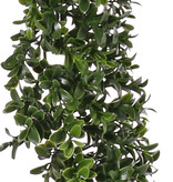 Buxus (Boxwood) slinger, 486 clusters, UVsafe, 180cm