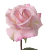 Rose Caroline 70cm real touch