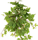 Parthenocissus , 106 leaves, Ø 50 cm, H. 30 cm, UVsafe
