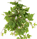 Wilder Weinblatt-Busch (Parthenocissus) , 10 Verzweigungen, 106 Blätter, PE, Ø 50 cm, H. 30 cm, UV sicher