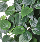 Philodendron-Busch mit 19 Ausläufern und 294 Blättern, "Vital Greens", schwer entflammbar, 80cm