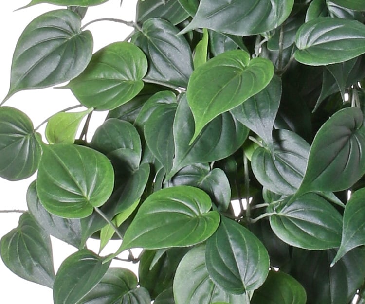 Philodendron giant hanger, 19 branches, 294 leaves in total "Vital Greens", 91 cm, fire retardant