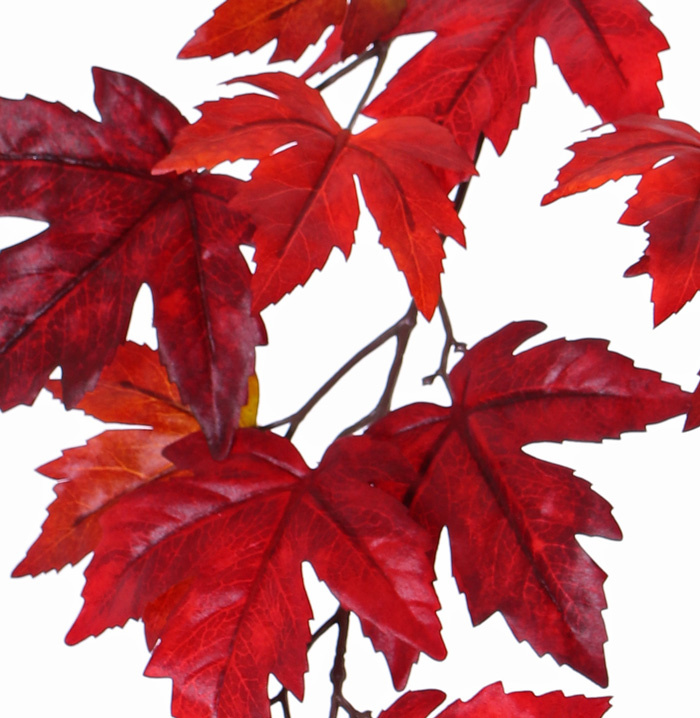 Acer (Maple) branch "Ruby", 15 leaves (Ø 10/14cm), 91cm