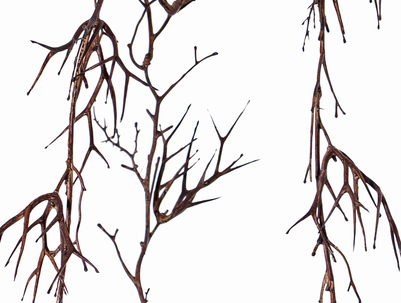 Christusdornen-Girlande (Gleditsia triacanthos) ""Dried nature"" x12clusters, 180cm, Sonderpreis