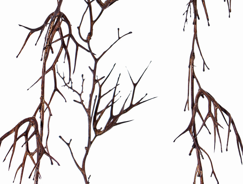 Gleditsia triacanthos girnalda "Dried nature",  12 grupos, 180cm, precio especial
