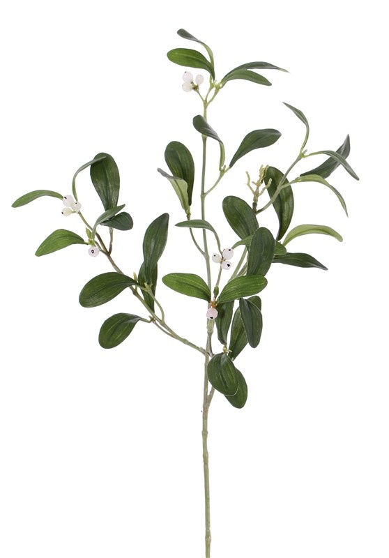 Mistletoe (Maretak) 4 vertakkingen, 12 bessen, 36 bladeren, 55 cm