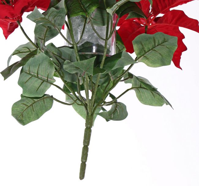 Poinsettia (Kerstster) bush, 5 bloemen (Ø 20cm), h.45cm /Ø 45cm