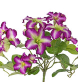 Petunia, 16 flowers, (4 Lg/8 Me/4 Sm) & 12 lvs.,  Ø 30cm