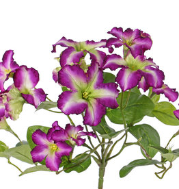 Petunia, 16 flores, (4 Lg/8 Me/4 Sm), & 12 hojas,  Ø 30cm