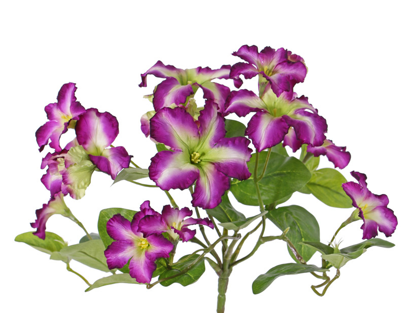 Petunia, 16 flores, (4 Lg/8 Me/4 Sm), & 12 hojas,  Ø 30cm