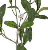 Mistletoe (Maretak) 4 vertakkingen, 12 bessen, 36 bladeren, 55 cm