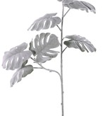 Flocked Monstera (Sweet Cheese plant), 7 lvs., 71cm