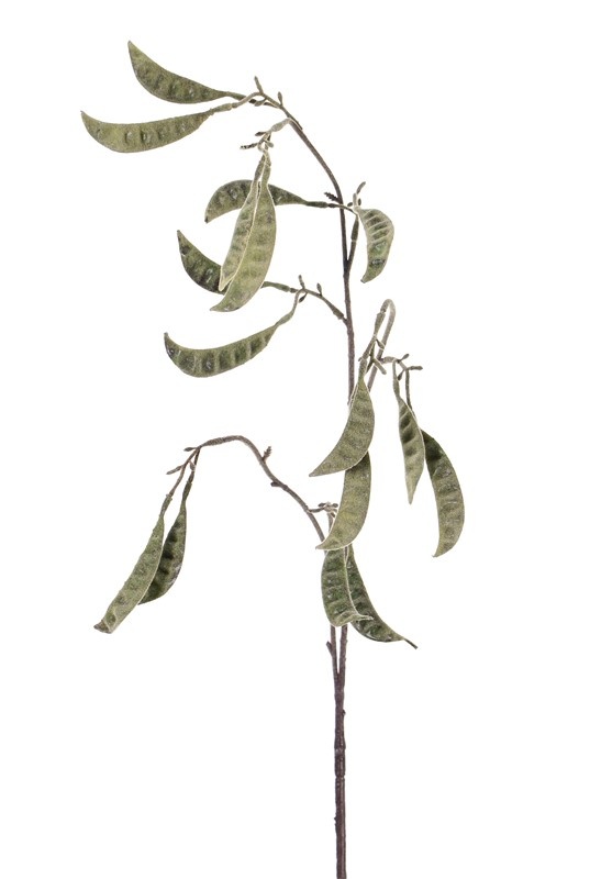 Arveja 'AutumnBreeze',  9 bifurcaciónes, 16 semillas, flocado, 90 cm