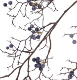 Berry branch, wild, 21 clusters bessen, 100cm