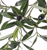 Olijventak, Olijftak 104 blad / 6 olijven, 55 cm