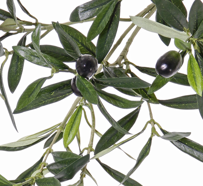 Olijventak, Olijftak 104 blad / 6 olijven, 55 cm