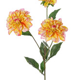 Dahlie 'New Beauty', 3 Blumen & 5 Blätter, 76cm