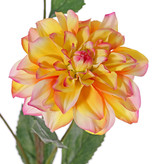 Dahlia 'New Beauty', 3 bloemen & 5 bladeren, 76cm