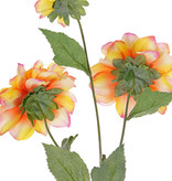 Dahlia 'New Beauty', 3 flores & 5 hojas, 76cm