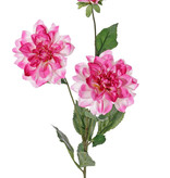 Dahlia 'New Beauty', 3 bloemen & 5 bladeren, 76cm