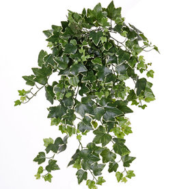 Hedera Gala x 262 65cm UV-bestendig