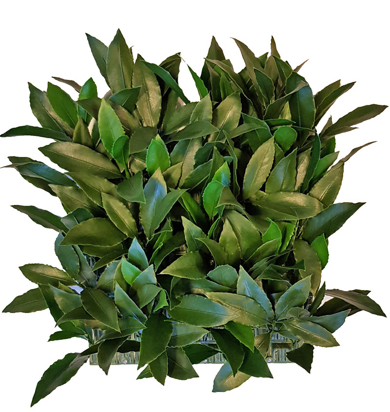 Elemento de seto de hoja de laurel (Laurus), 25 x 25 cm, 193 hojas