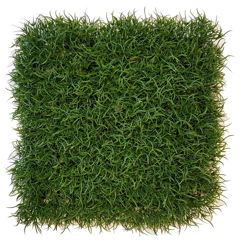 Grass wild, hedge element, 25 x 25 x 6cm, UVsafe