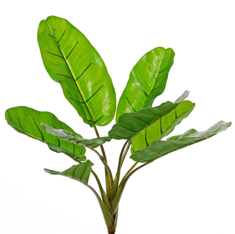 Planta de banano (Musa) 8 hojas, 2sm/2me/4lg, (PE soft plastic), UV resistente, 55cm