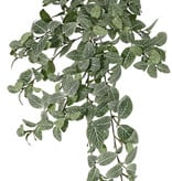 Fittonien (Fittonia), Silbernetzblätter, 15 Verzweigungen, 267 Blätter, schwer entflammbar und UV sicher, 50cm