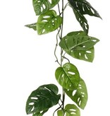 Monstera 'Monkey Leaf' garland, 19 lvs., 115cm