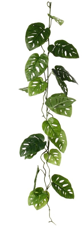 Monstera 'Monkey Leaf' garland, 19 lvs., 115cm