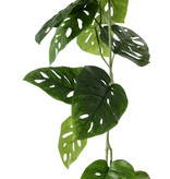 Monstera 'Monkey Leaf' garland, 19 lvs., 115cm