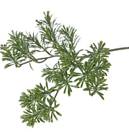 Artemisia absinthium, plastic 45cm - resistente de rayos UV