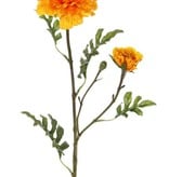 Mexican / AztMexican / Aztec / African marigold (Tagetes erecta), 2 flowers (Ø 9cm/5cm), 1 bud & 25 lvs. (4sets), 63cmec / African marigold (Tagetes erecta), 2 flowers (Ø 9cm/5cm), 1 bud & 25 lvs. (4sets), 63cm